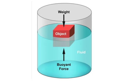  Weight variations on different celestial bodies